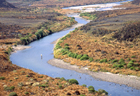 Ngaruroro River 101352.jpg